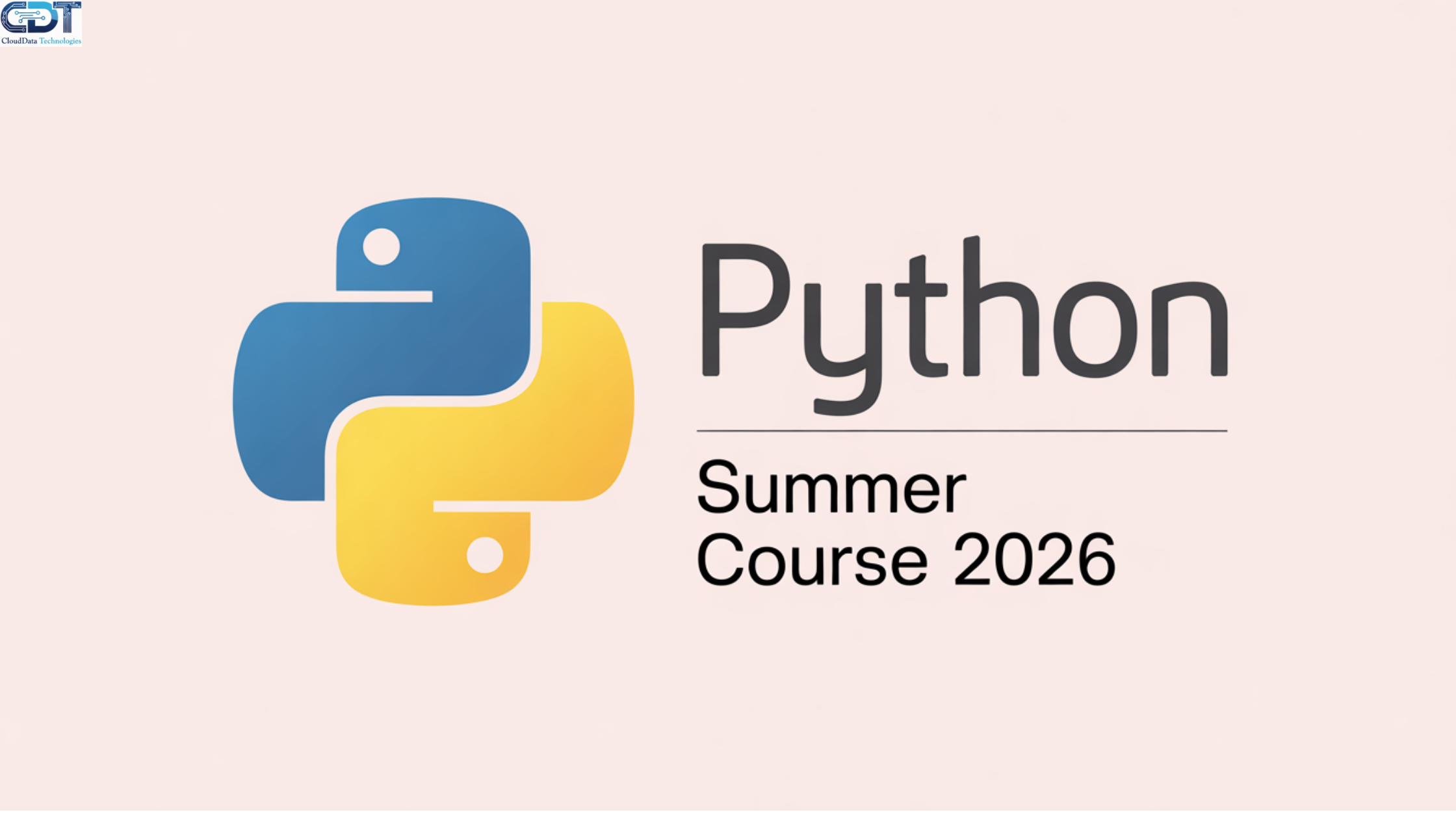 python summer course 2026
